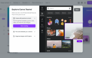 tài khoản canva pro miễn phí