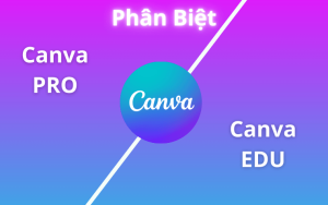 Phân biệt tài khoản canva pro và canva edu
